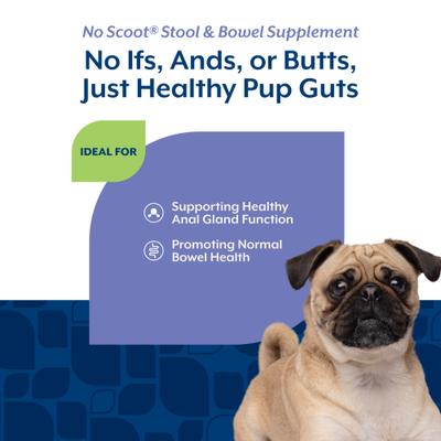 Show full view: NaturVet No Scoot Stool & Bowel Hickory Smoked Bacon Flavored Soft Chew Supplement for Dogs, 120 count slide 5 of 11