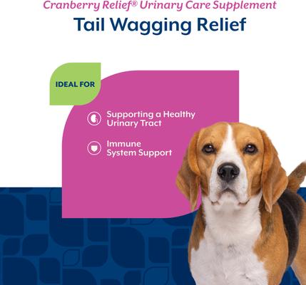 Show full view: NaturVet Cranberry Relief Urinary Care Bacon & Chicken Flavored Soft Chew Supplement for Dogs, 120 count slide 4 of 9