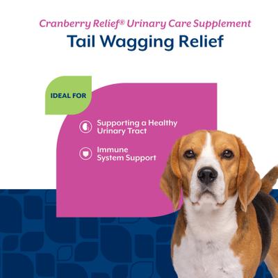 Show full view: NaturVet Advanced Probiotics & Enzymes Plus Vet Strength PB6 Probiotic Soft Chews Dog Supplement, 120 count + NaturVet Cranberry Relief Plus Echinacea Soft Chews for Dogs, 120 count slide 8 of 9