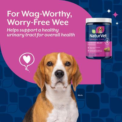 Show full view: NaturVet Advanced Probiotics & Enzymes Plus Vet Strength PB6 Probiotic Soft Chews Dog Supplement, 120 count + NaturVet Cranberry Relief Plus Echinacea Soft Chews for Dogs, 120 count slide 7 of 9