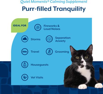 Show full view: NaturVet Quiet Moments Calming Salmon & Bacon Flavored Soft Chew Supplement for Cats, 60 count slide 5 of 9