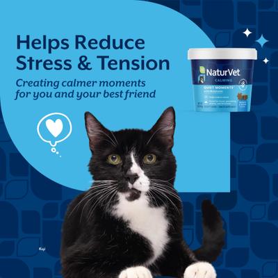 Show full view: NaturVet Quiet Moments Calming Aid Plus Melatonin Cat Soft Chews, 60 count & NaturVet Digestive Enzymes Plus Probiotics Cat Soft Chews, 60 count slide 7 of 10