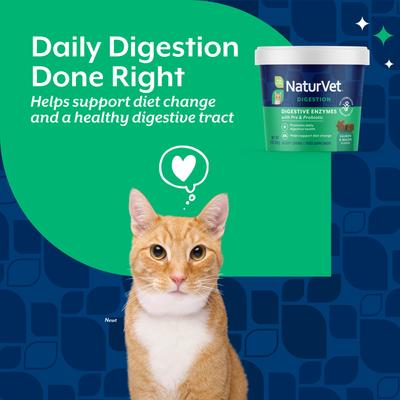 Show full view: NaturVet Digestive Enzymes Salmon & Bacon Flavored Soft Chew Supplement for Cats, 60 count slide 3 of 10