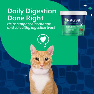Show full view: NaturVet Quiet Moments Calming Aid Plus Melatonin Cat Soft Chews, 60 count & NaturVet Digestive Enzymes Plus Probiotics Cat Soft Chews, 60 count slide 3 of 10
