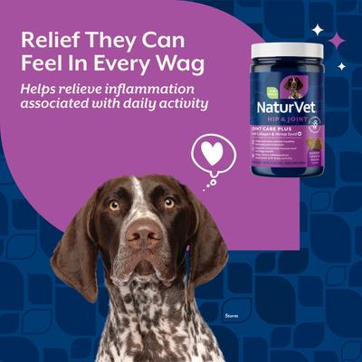 Show full view: NaturVet Joint Care Plus with Hemp Hip & Joint Hickory Smoked Bacon Flavored Soft Chew Supplement for Dogs, 60 count slide 3 of 9