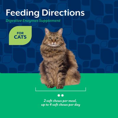 Show full view: NaturVet Digestive Enzymes Salmon & Bacon Flavored Soft Chew Supplement for Cats, 60 count slide 6 of 10