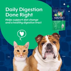 NaturVet Digestive Enzymes Powder Supplement for Dogs & Cats, 10-oz bag slide 2 of 8