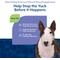 Show in main carousel: NaturVet Stool Eating Deterrent Stool & Bowel Hickory Smoked Bacon Flavored Chewable Tablet Supplement for Dogs, 60 count slide 4 of 10