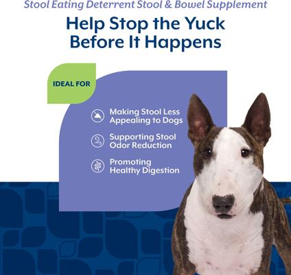 Show full view: NaturVet Stool Eating Deterrent Stool & Bowel Hickory Smoked Bacon Flavored Chewable Tablet Supplement for Dogs, 60 count slide 4 of 10