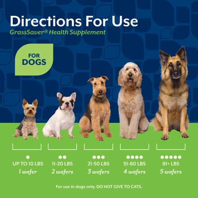 Show full view: NaturVet GrassSaver Health Pork & Beef Flavored Wafer Supplement for Dogs, 300 count slide 6 of 8