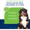 Show in main carousel: NaturVet GrassSaver Health Pork & Beef Flavored Wafer Supplement for Dogs, 300 count slide 4 of 8