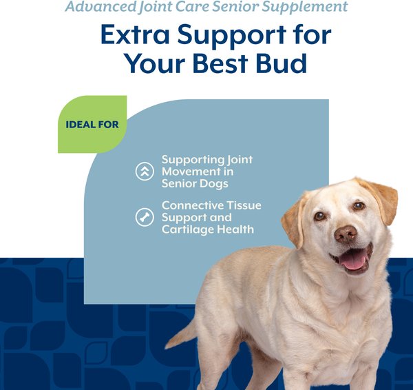 Show full view: NaturVet Advanced Joint Care Senior Bacon & Chicken Flavored Soft Chew Supplement for Dogs, 120 count slide 4 of 8