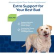 Show in main carousel: NaturVet Advanced Joint Care Senior Bacon & Chicken Flavored Soft Chew Supplement for Dogs, 120 count slide 4 of 8