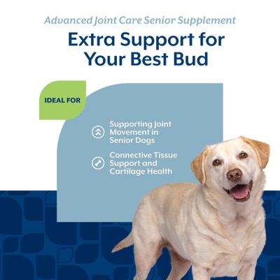 Show full view: NaturVet Advanced Joint Care Senior Bacon & Chicken Flavored Soft Chew Supplement for Dogs, 120 count slide 5 of 9