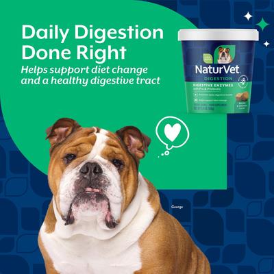 Show full view: NaturVet Digestive Enzymes Bacon & Chicken Flavored Soft Chew Supplement for Dogs, 70 count slide 4 of 11