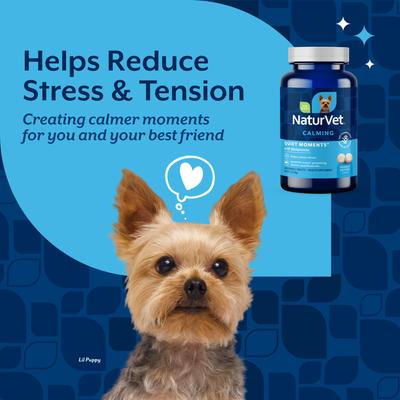 Show full view: NaturVet Quiet Moments Calming Peanut Butter Flavored Tablet Supplement for Dogs, 30 count slide 3 of 8
