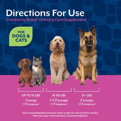 Show full view: NaturVet Cranberry Relief Urinary Care Powder Supplement for Dogs & Cats, 1.7-oz jar slide 6 of 9