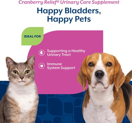 Show full view: NaturVet Cranberry Relief Urinary Care Powder Supplement for Dogs & Cats, 1.7-oz jar slide 4 of 9