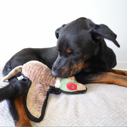 SteelDog USA Ruffian Bird Pheasant Plush Dog Toy slide 2 of 6