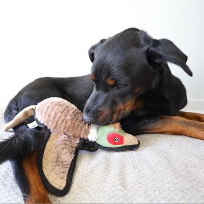 Show full view: SteelDog USA Ruffian Bird Pheasant Plush Dog Toy slide 4 of 7