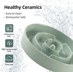 Havniva Ceramic Anti-Gulping Slow Feeder Dog Bowl, Light Green, 9.5-in slide 2 of 7