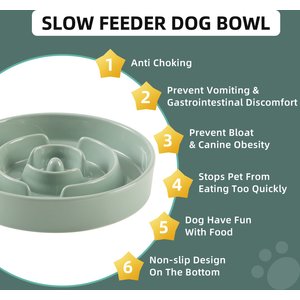Havniva Ceramic Anti-Gulping Slow Feeder Dog Bowl, Light Green, 8.2-in