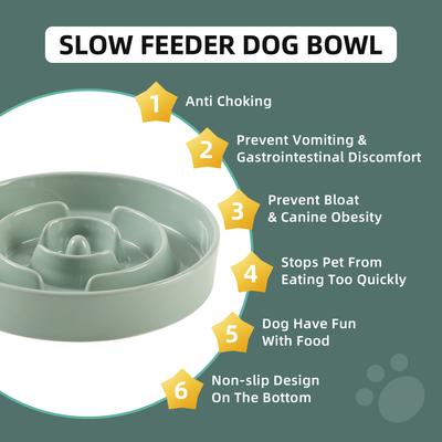 Show full view: Havniva Ceramic Anti-Gulping Slow Feeder Dog Bowl, Light Green, 7.3-in slide 5 of 7