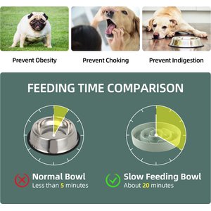 Havniva Ceramic Anti-Gulping Slow Feeder Dog Bowl, Light Green, 8.2-in