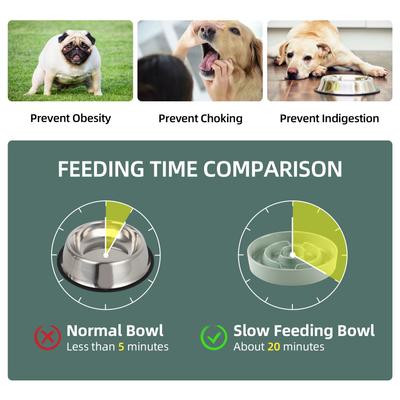 Show full view: Havniva Ceramic Anti-Gulping Slow Feeder Dog Bowl, Light Green, 7.3-in slide 4 of 7