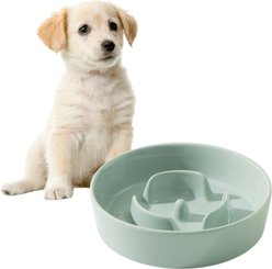 Havniva Ceramic Slow Feeder Dog Bowl for Small Dogs, 6.1-in, Light Green slide 2 of 8