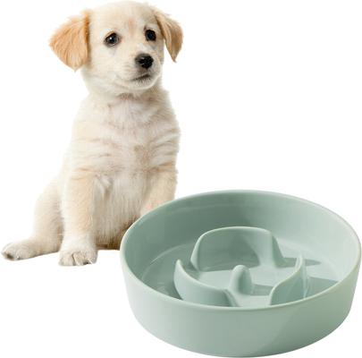 Show full view: Havniva Ceramic Slow Feeder Dog Bowl for Small Dogs, 6.1-in, Light Green slide 9 of 9