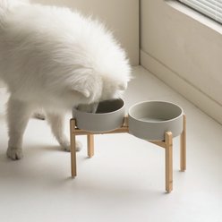 Havniva Ceramic Raised Dog Double Bowl Set with Stand, Grey, 8.2-in