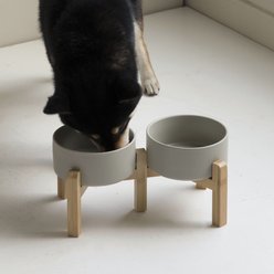 Havniva Ceramic Raised Dog Double Bowl Set with Stand, Grey, 6-in slide 2 of 7