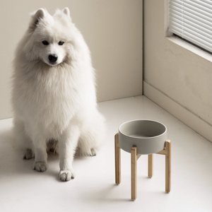 Havniva Ceramic Elevated Dog Bowl Set, 8.2-in, Grey
