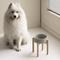 Show in main carousel: Havniva Ceramic Elevated Dog Bowl Set, 8.2-in, Grey slide 1 of 8