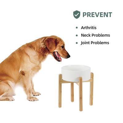 Show full view: Havniva Ceramic Elevated Dog Bowl Set, 8.2-in, White slide 4 of 7