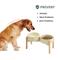 Show in main carousel: Havniva Ceramic 8.2-in Elevated Dog Double Bowl with Stand, Beige slide 4 of 6
