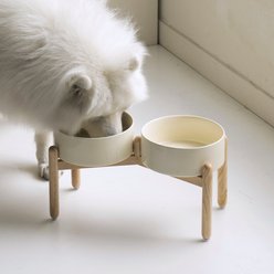 Havniva Ceramic 8.2-in Elevated Dog Double Bowl with Stand, Beige