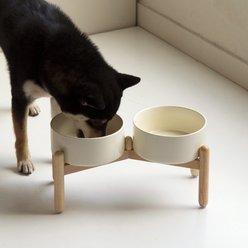 Havniva Ceramic 7.3-in Raised Dog Double Bowl Set with Wooden Stand, Beige slide 2 of 7
