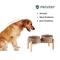 Show in main carousel: Havniva Ceramic 7.3-in Raised Dog Double Bowl Set with Wooden Stand, Brown Coffee slide 4 of 7