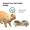 Show in main carousel: Havniva Ceramic Elevated Cat Bowl with Stand, 5.1-in, 2 count, Light Green slide 6 of 9