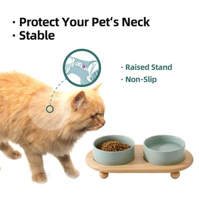 Show full view: Havniva Ceramic Elevated Cat Bowl with Stand, 5.1-in, 2 count, Light Green slide 6 of 9