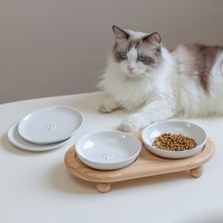 Havniva Ceramic Adjustable Elevated Cat Bowl with 2 Style Stand, 5.6-in, White