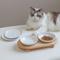 Show in main carousel: Havniva Ceramic Adjustable Elevated Cat Bowl with 2 Style Stand, 5.6-in, White slide 1 of 7