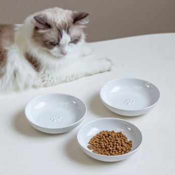 Cat Bowls Dishes: Cat Water Food Bowls (Free Shipping) Chewy