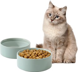 Havniva Ceramic Anti-Slip Cat Bowl, 5.1-in, 2 count, Light Green