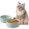 Show in main carousel: Havniva Ceramic Anti-Slip Cat Bowl, 5.1-in, 2 count, Light Green slide 1 of 6