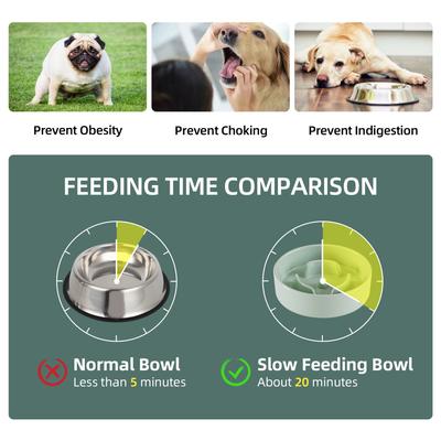 Show full view: Havniva Ceramic Slow Feeder Dog Bowl for Small Dogs, 6.1-in, Light Green slide 5 of 9