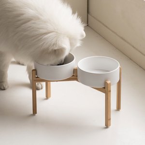 Havniva Ceramic Raised Dog Double Bowl Set with Stand, White, 8.2-in