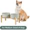 Show in main carousel: Havniva Ceramic Raised Dog Double Bowl Set with Stand, Grey, 7.3-in slide 3 of 8